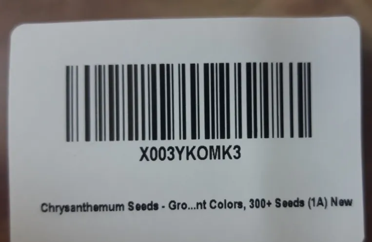 394 Ground Chrysanthemum Seeds