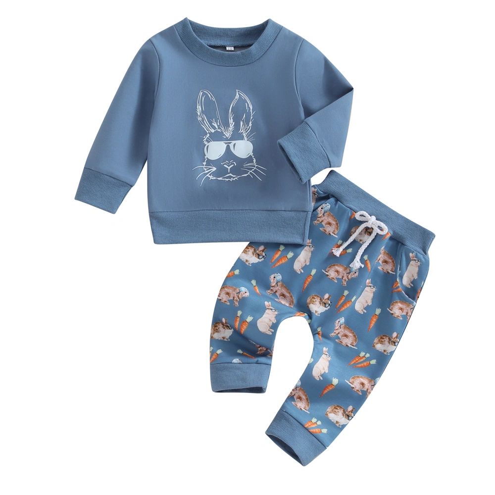 Toddler Boys Blue Long Sleeve Sweatshirt Bunny Carrot Print Pants Set