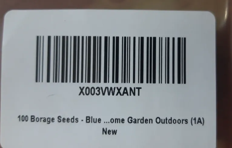 166 Borage Seeds