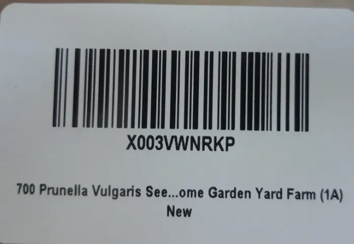 199 Prunella Vulgaris Seeds