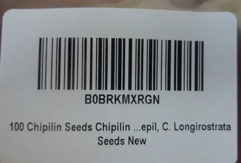 302 Chipilin Seeds