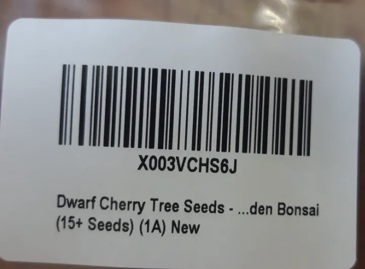 201 Dwarfs Cherry Tree Seeds