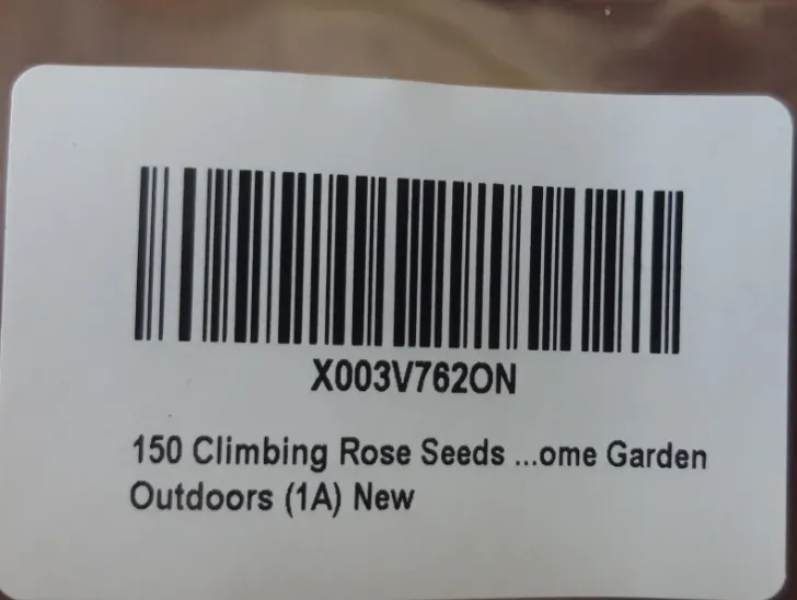 150 Climbing Rose Seeds