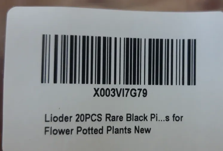 Lioder 20pcs Rare Black For Flower Potted Plant