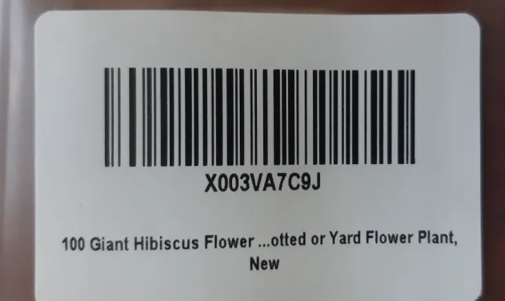 100 Giant Hibiscus Flower