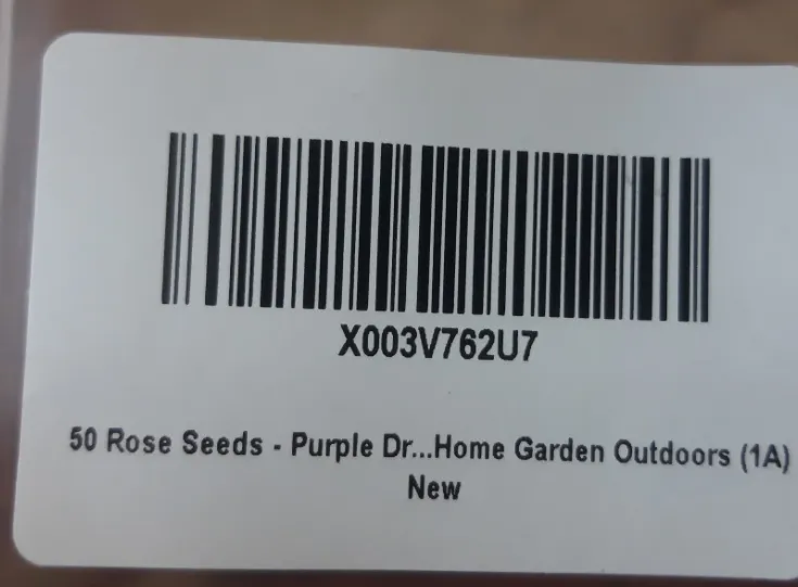 50 Rose Seeds Purple Home Garden Outdoors