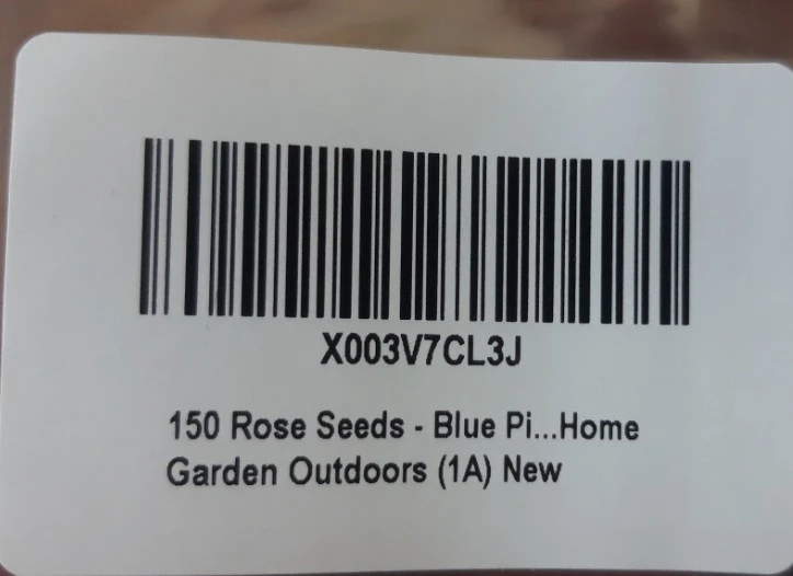 Blue Pinks Rose Seeds 202