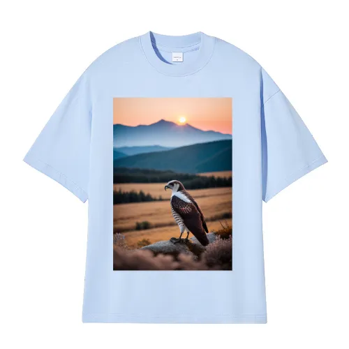 Falcon Sun