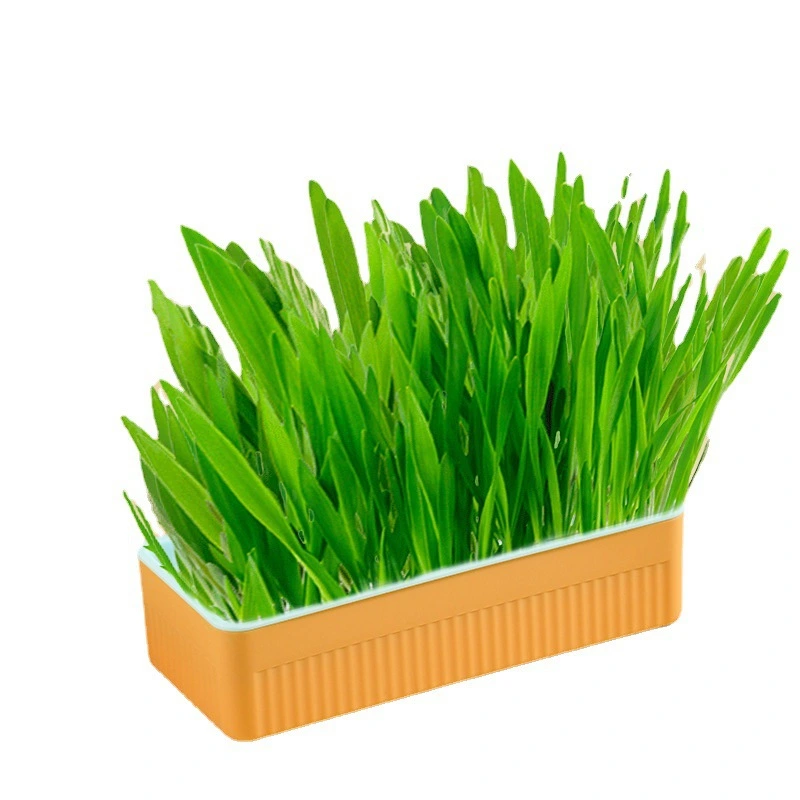 Hydroponic Cat Grass Box Soilless Planting Cat Suit