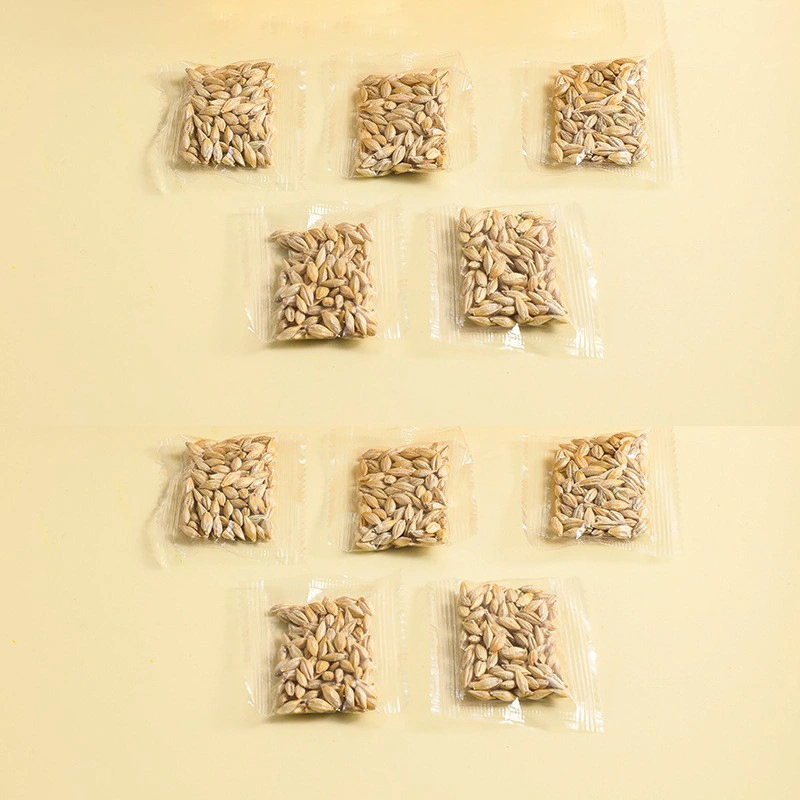 Hydroponic Cat Grass Box Soilless Planting Cat Suit