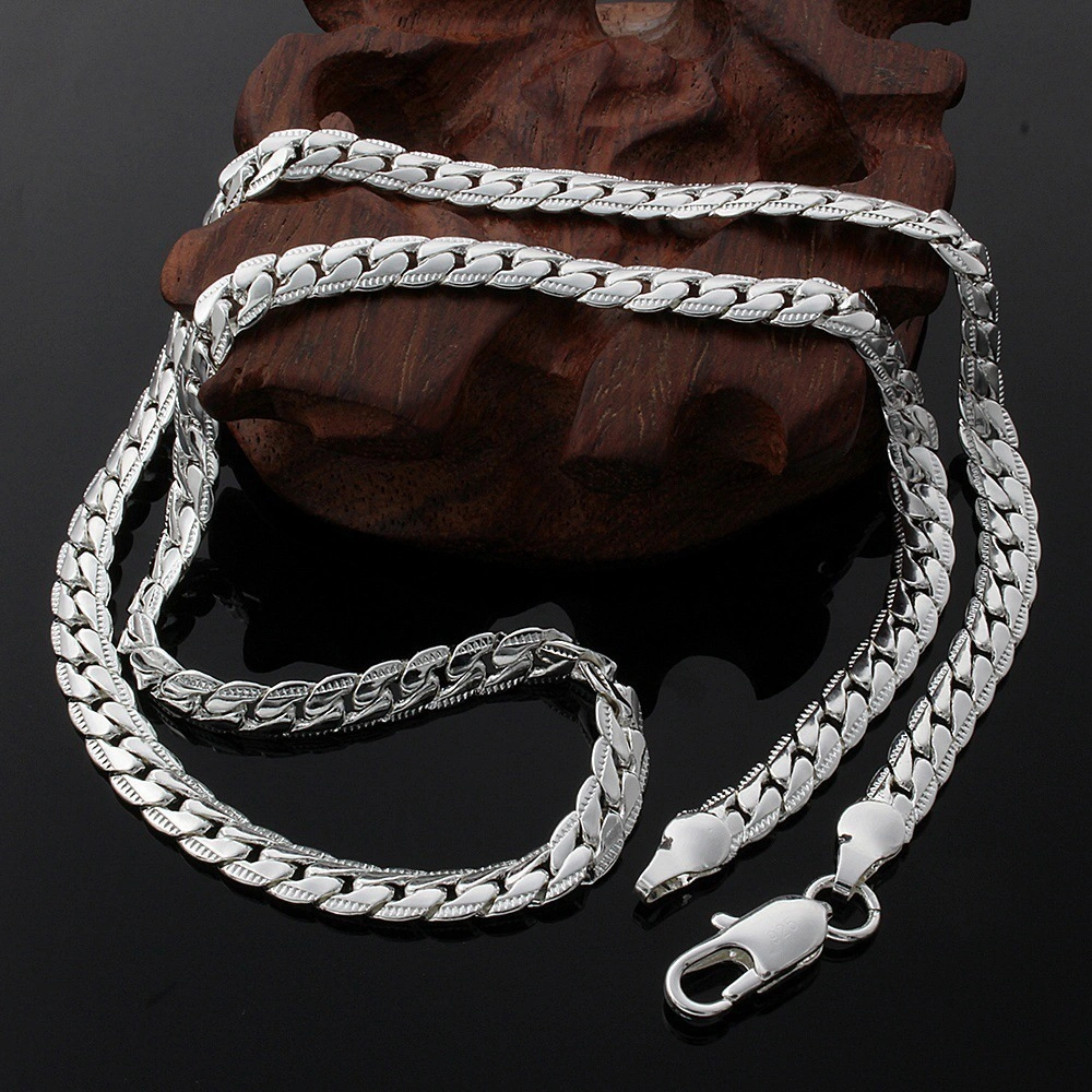 New Personalized Simple Titanium Steel Silver Plated Snake Bone Wide Chain