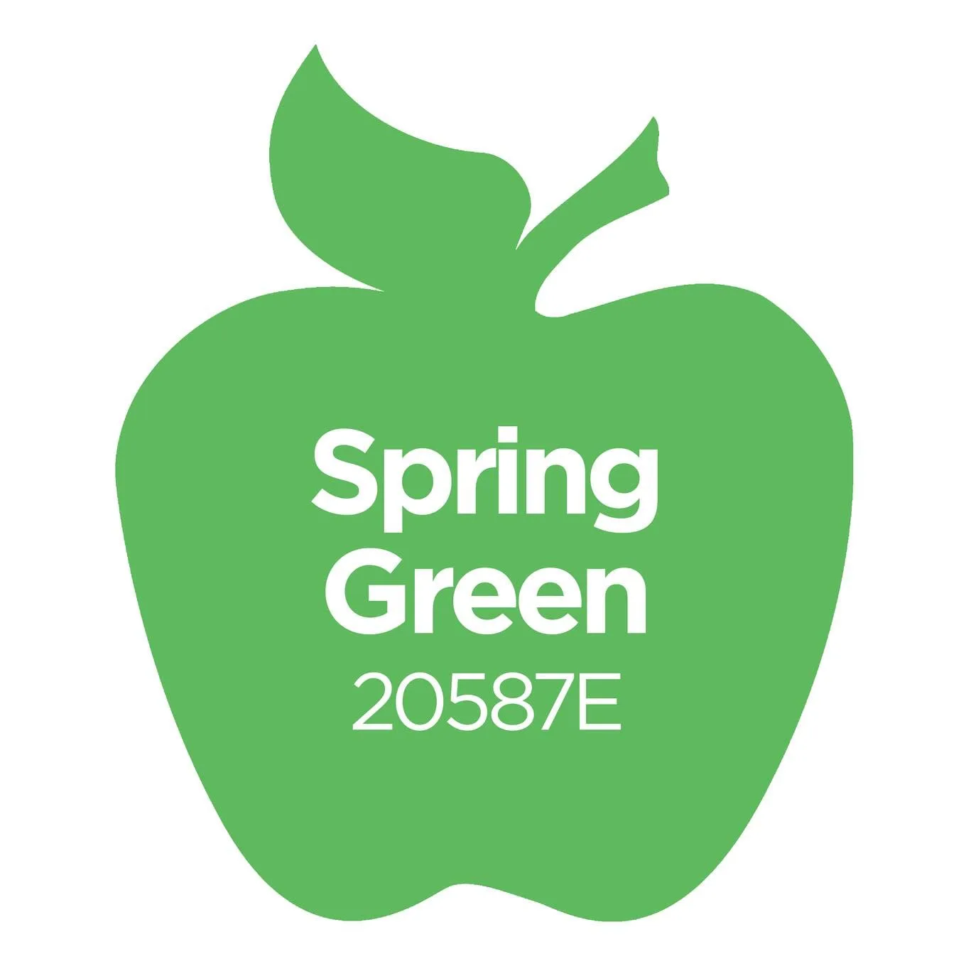 Apple Barrel Acrylic Paint in Assorted Colors (2 oz), 20587, Spring Green