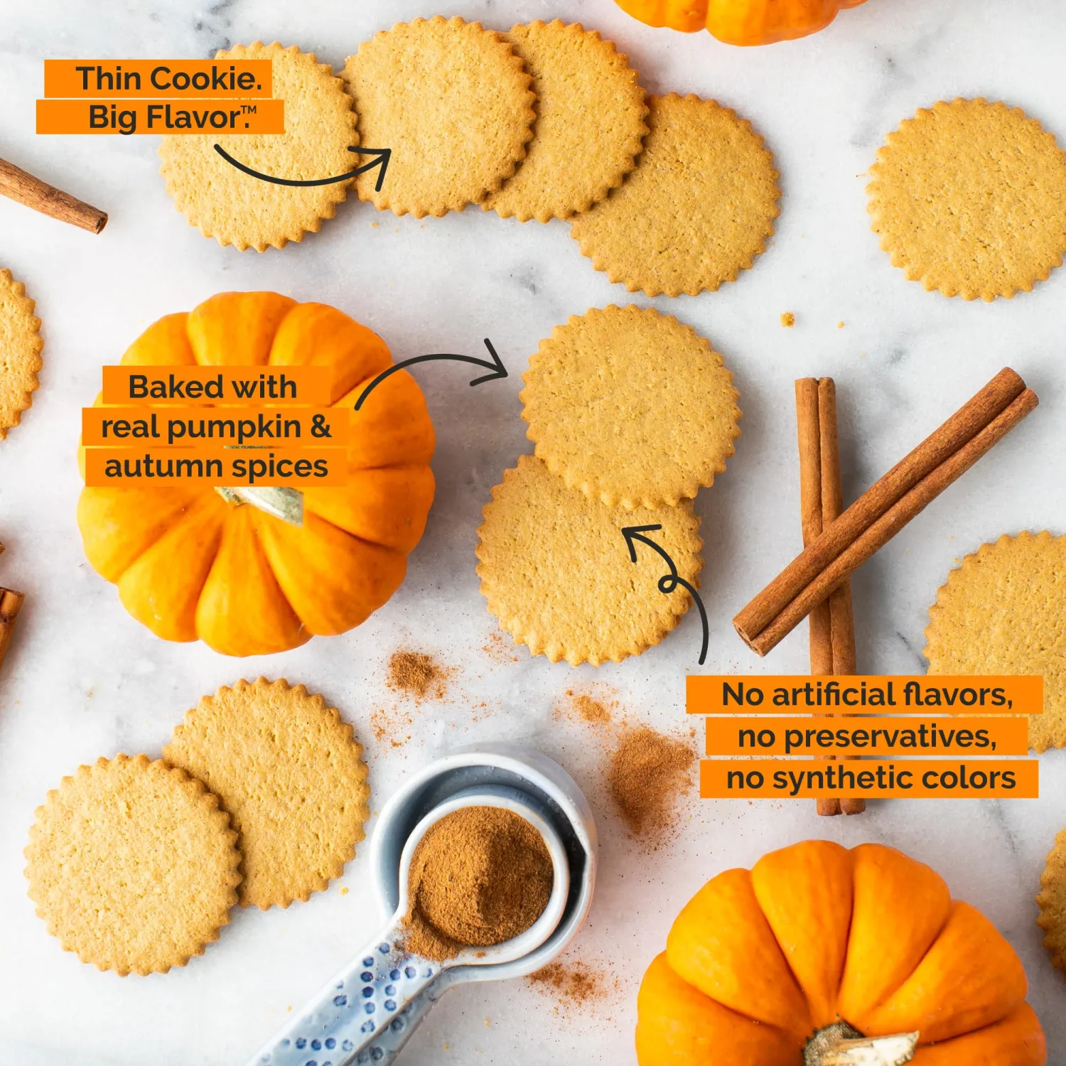 Dewey's Bakery Pumpkin Spice Moravian Style Thin Cookies | Seasonal Flavor | No Artificial Flavors, Synthetic Colors or Preservatives | Baked in Small Batches | 9oz (Pack of 1)