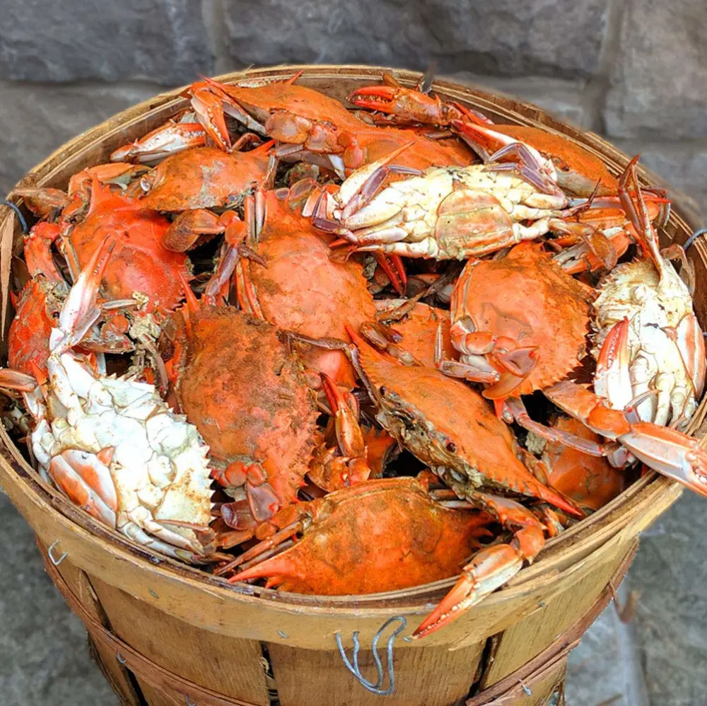 Maryland Blue Crabs Females Sook Steamed (1 Dozen)