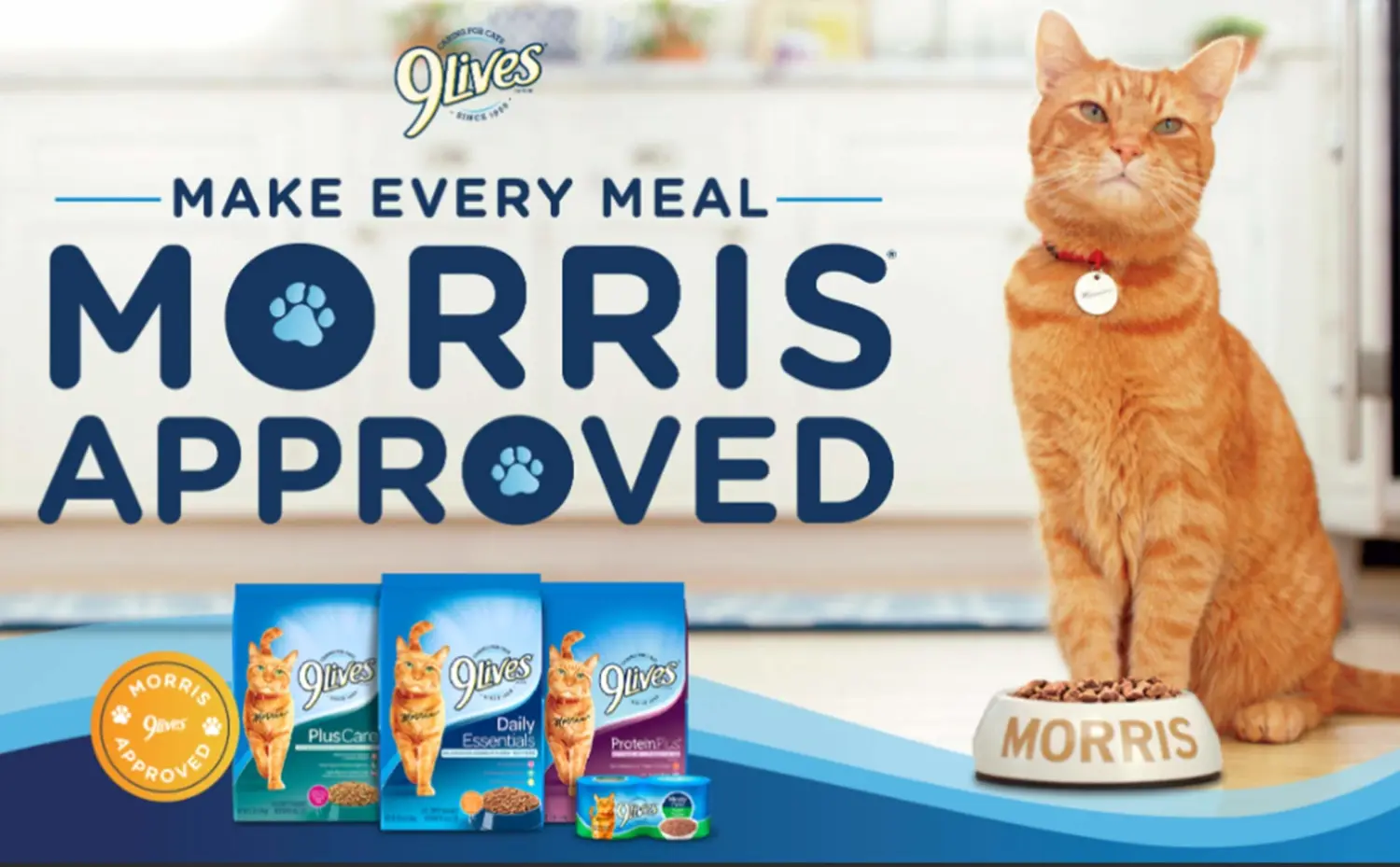 9Lives Plus Care Dry Cat Food, 3.15 Pound Bag (Pack of 4)