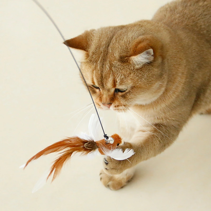 Simulation Bird Sucker Feather Long Steel Wire Long Brush Holder Teasing Cat Stick Replacement Head Cat Toy Pet