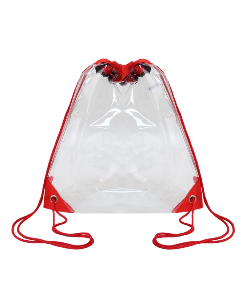 Transparent Backpack