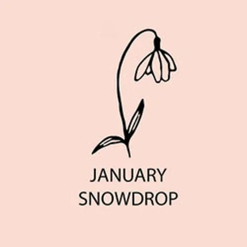 January SnowDrop