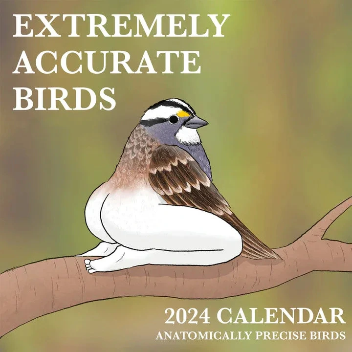 Extremely Accurate Paper Bird Calendar