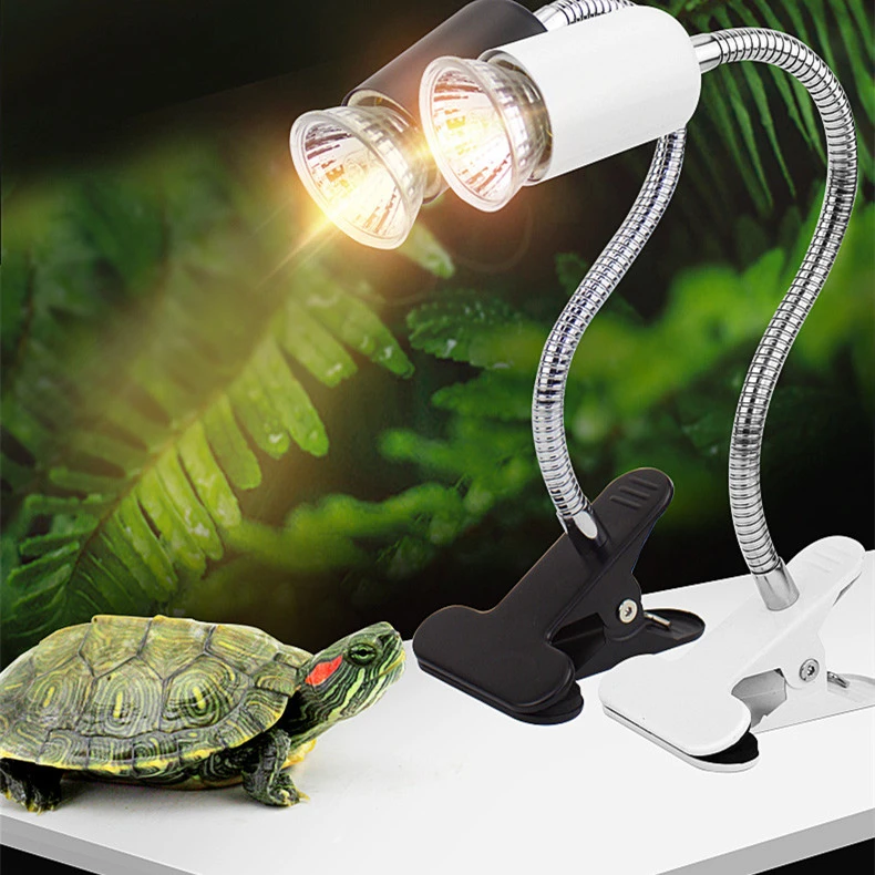 Turtle Lizard Crawler Sun Back Light Automatic Timing Calcium Supplement Heating