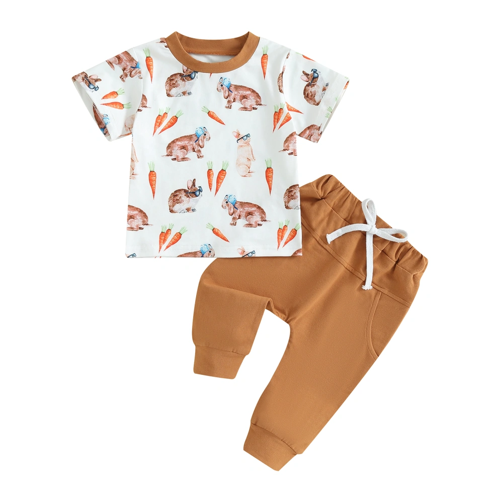 Toddler Boy Easter Outfits Carrot Rabbit Print T-Shirts Long Pants