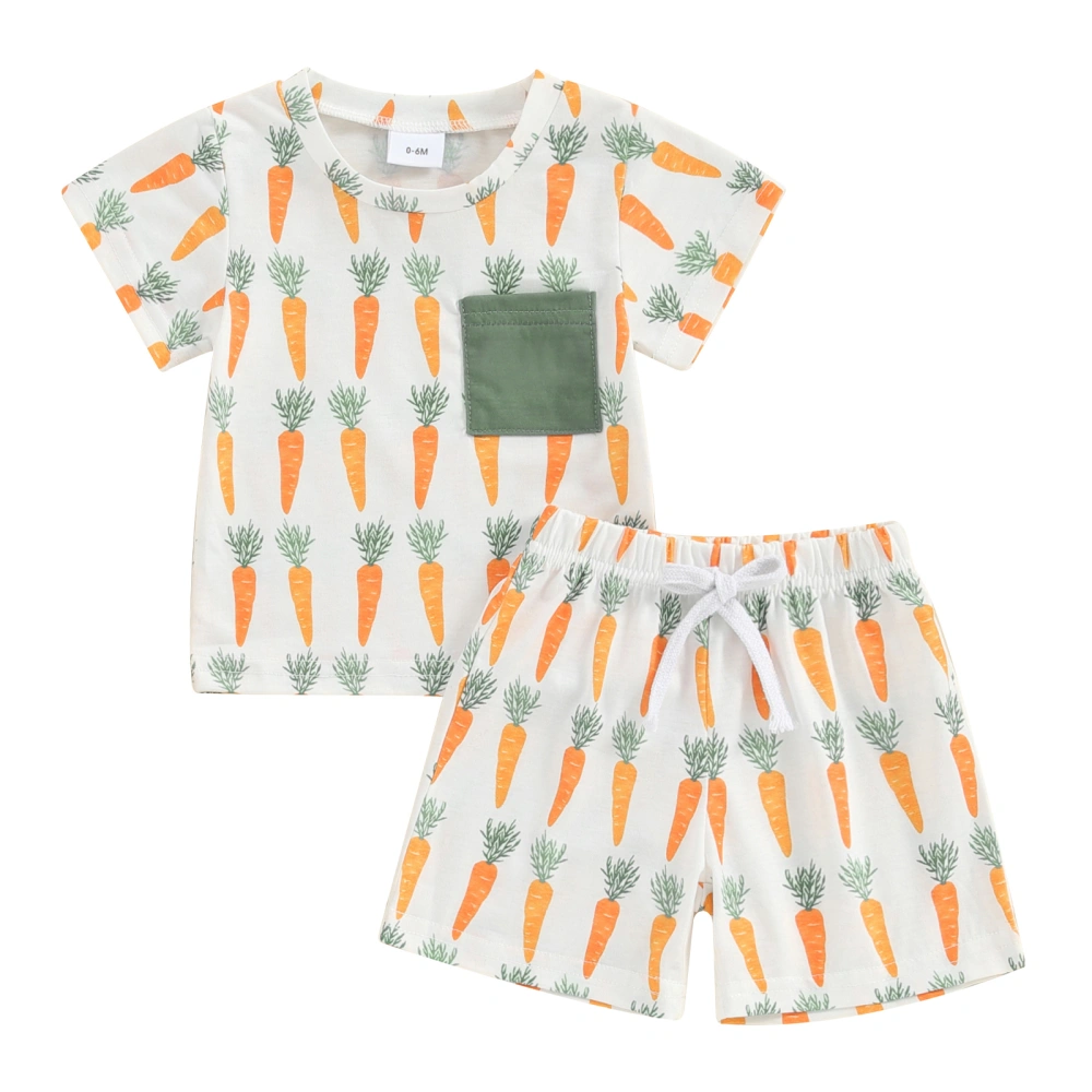 Toddler Boy Short Sleeve Tops + Elastic Waist Shorts Summer Set 