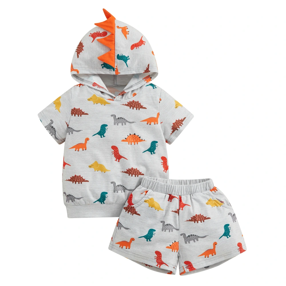 Kids Boys Summer Outfits Dinosaur Print T-Shirts Tops and Shorts