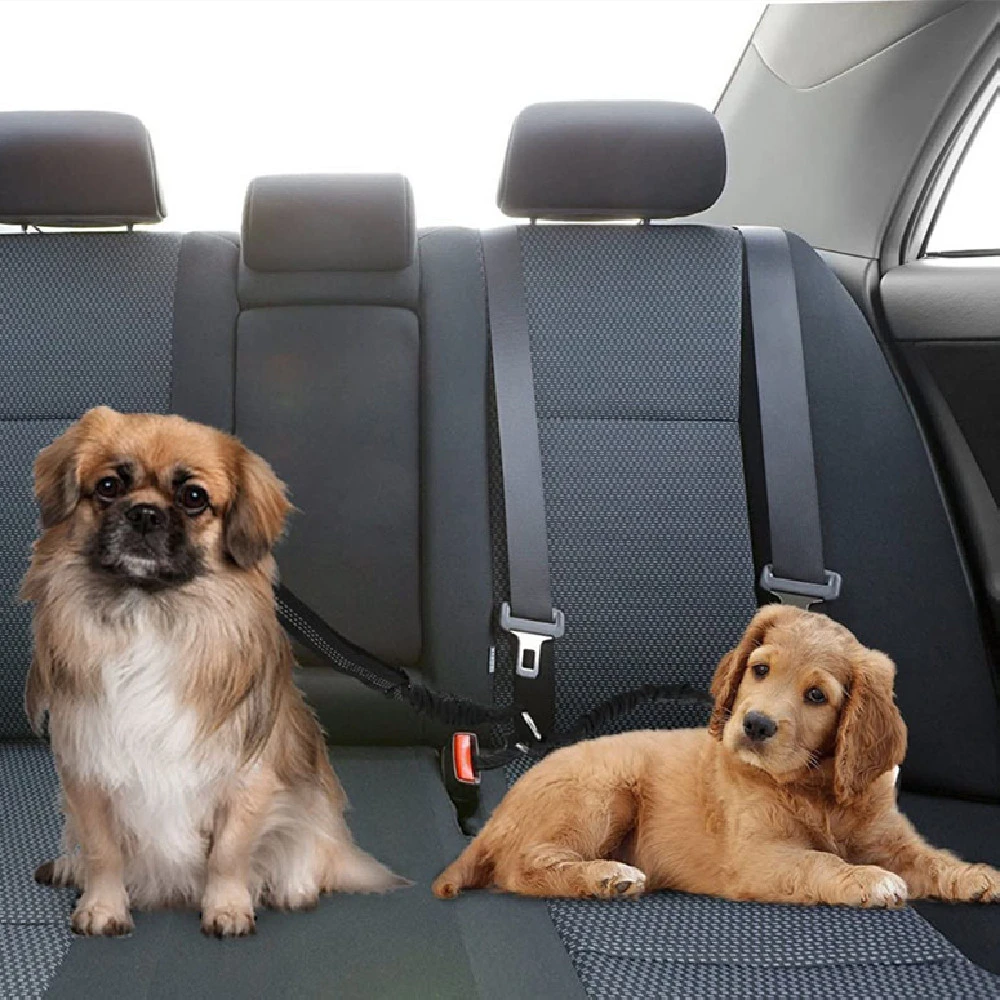 Pet Car Seat Belt Double-ended Traction Rope One For Two