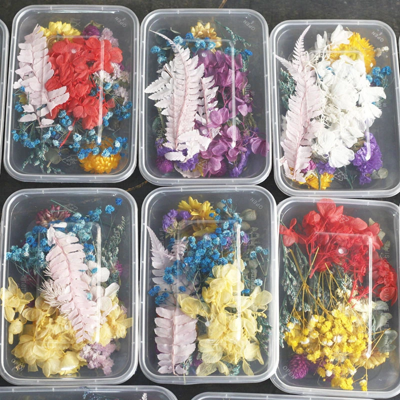 Dried Flower Diy Material Package Handmade