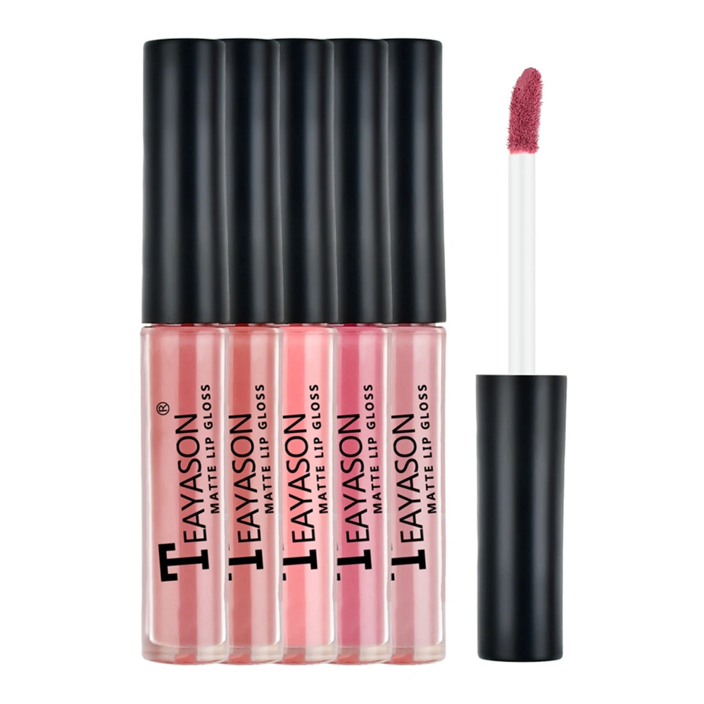 Lip Gloss Set 5 Colors Long Lasting Waterproof Matte Liquid Lipstick