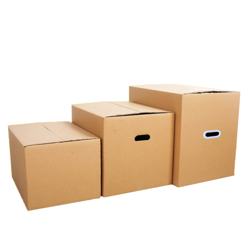 Moving Carton Express Box Packing