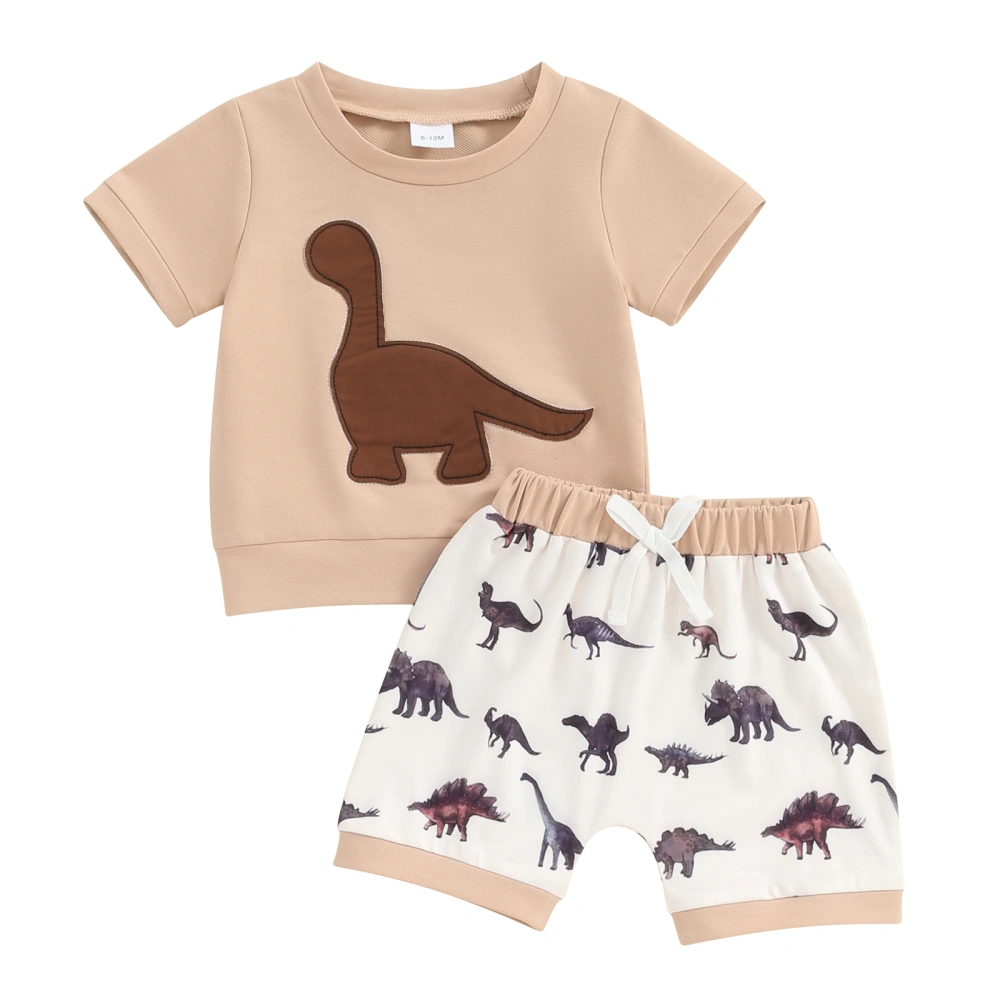 Boy Summer Outfits Short Sleeve T-Shirt with Dinosaur Print Shorts