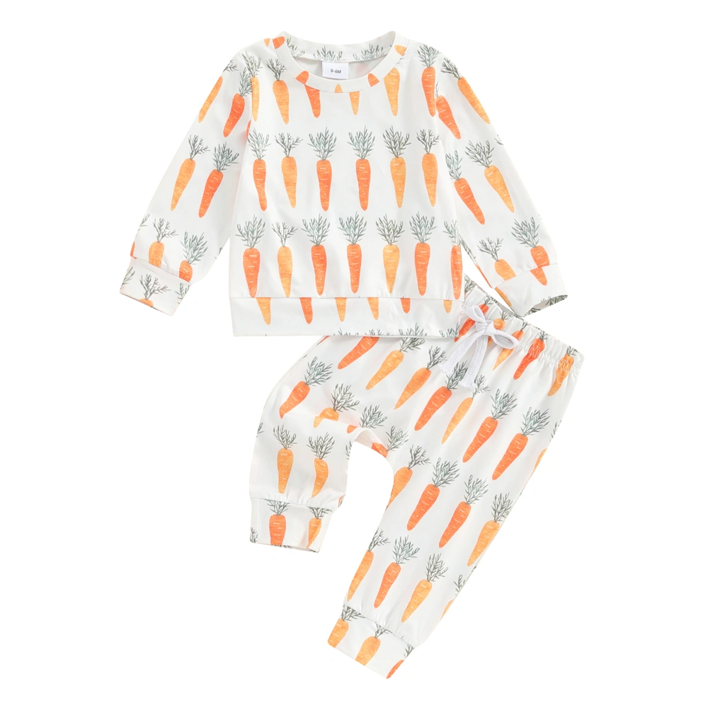 Toddler Boys Long Sleeve O Neck Pullover and Carrot Print Pants Sets