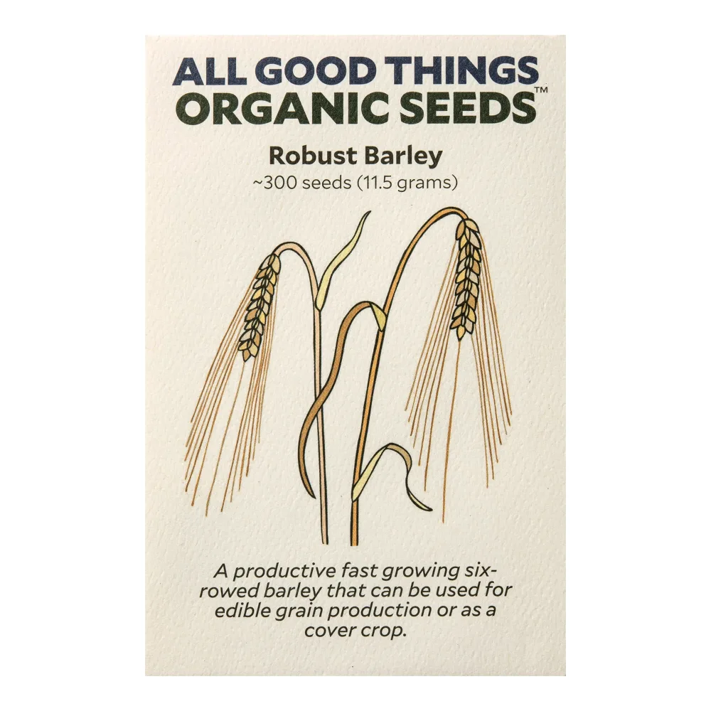 All Good Things Organic Robust Barley Seed - Pack of 300 Heirloom Seeds for Planting Vegetables, Gardening Supplies, Grain, Grass - Non-GMO, Open Pollinated, from USA