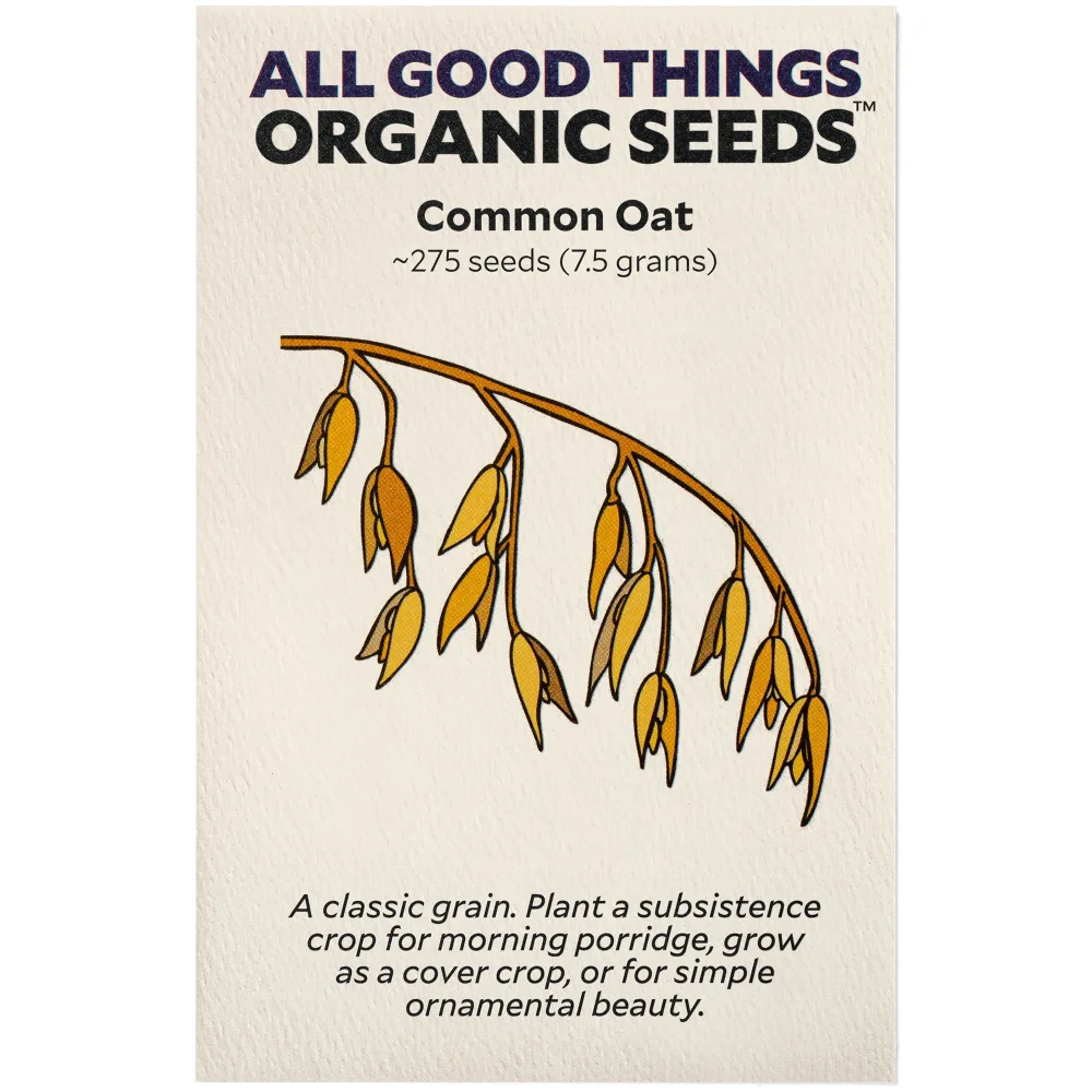 All Good Things Organic Common Oat Seeds - Pack of 275, Heirloom Seeds for Planting Grains, Vegetables - Gardening Supplies, Vegetable Garden - Non-GMO, Open Pollinated, from USA