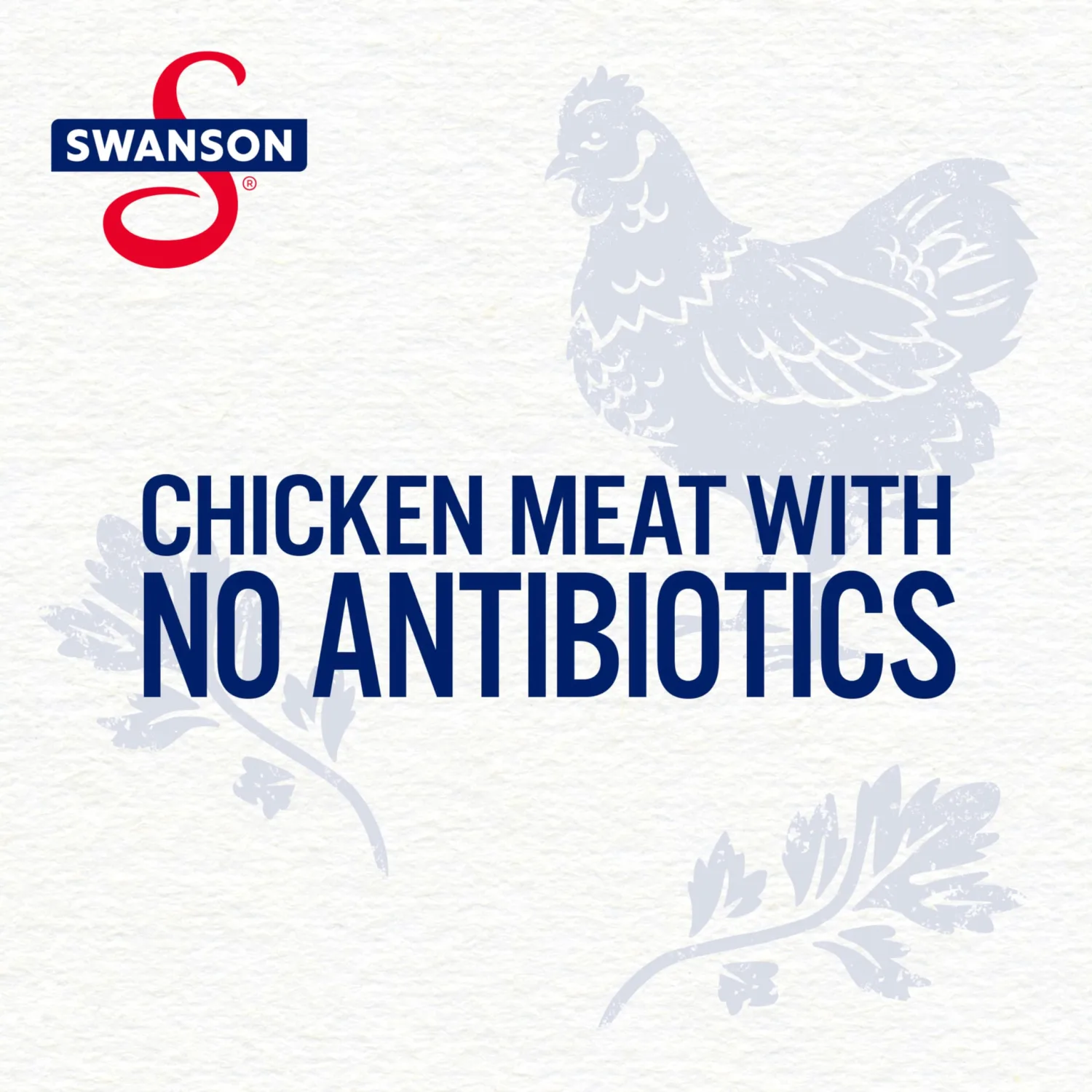 Swanson Chicken & Dumplings Made with White & Dark Chicken Meat, 10.5 Ounce Can