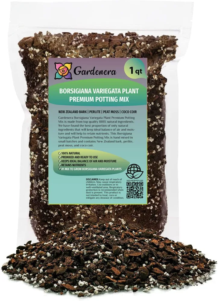 GARDENERA Monstera Borsigiana Potting Mix - Optimal Nutrients for Vibrant Growth - 1 Quart