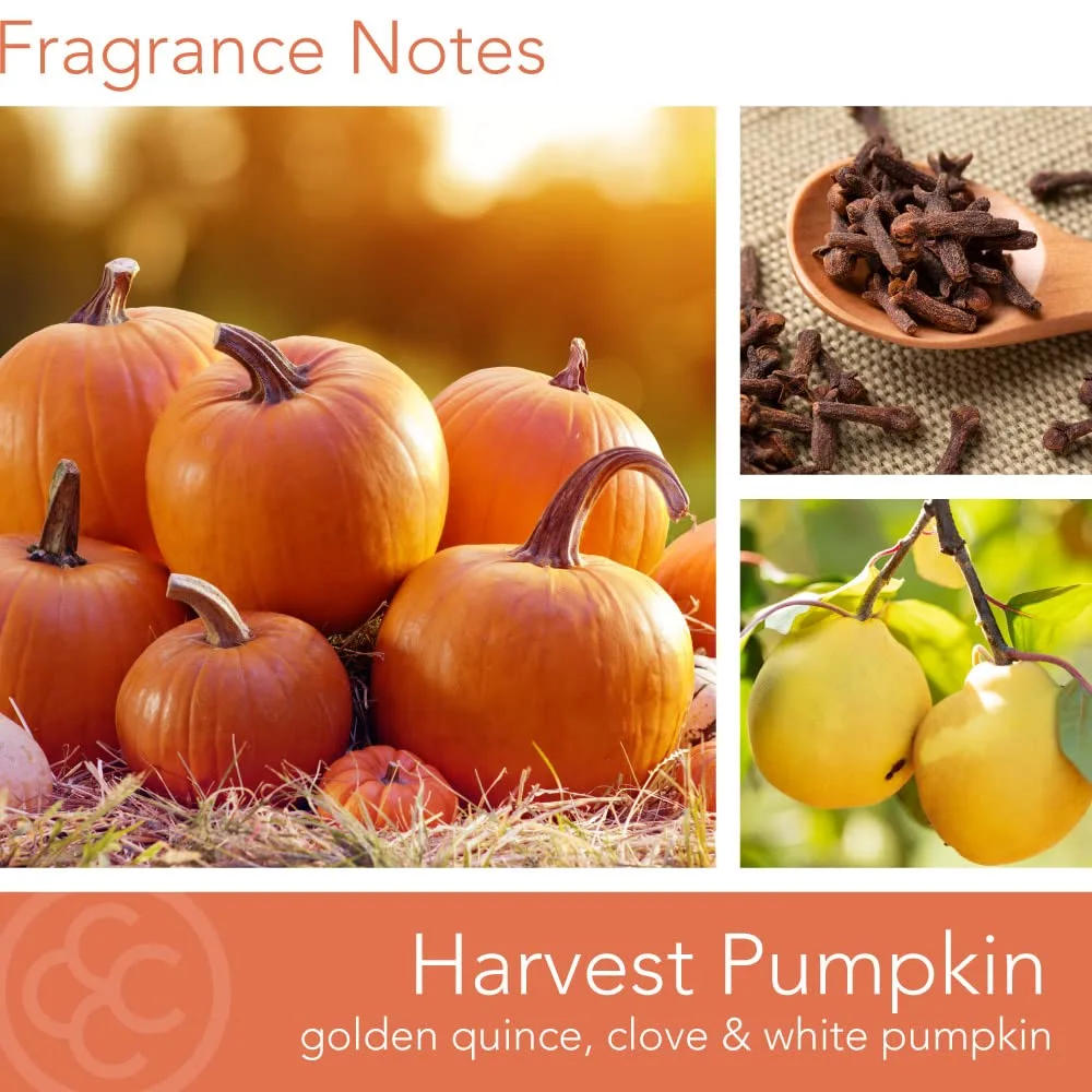 Colonial Candle Harvest Pumpkin Scented Jar Candle, Classic Cylinders Collection, 2 Wick, Orange, 11 oz - Up to 80 Hours Burn
