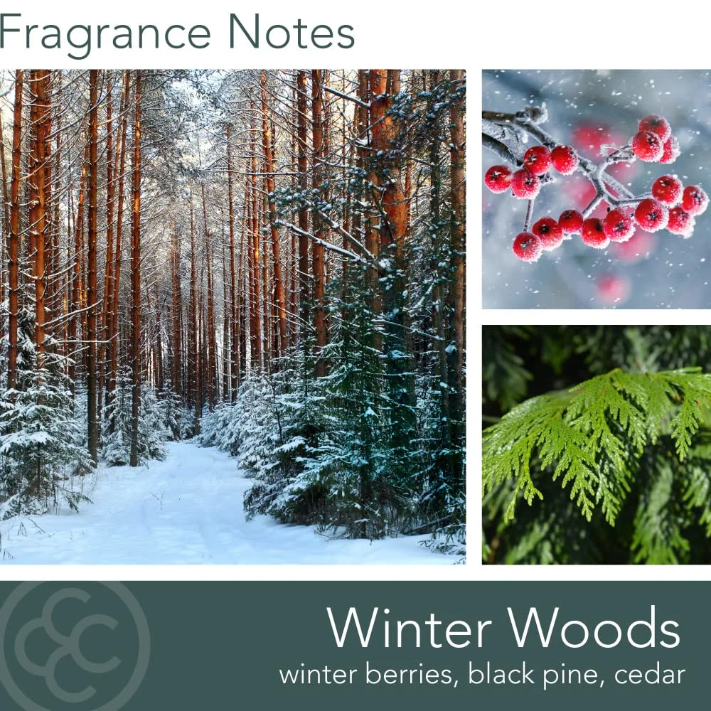 Colonial Candle Scented Jar Candle, Classic Cylinders, Winter Woods, 2 Wick, 19 oz, Green