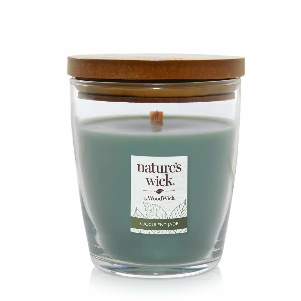 Nature's Wick Succulent Jade Scented Candle, 10 ounces, Medium