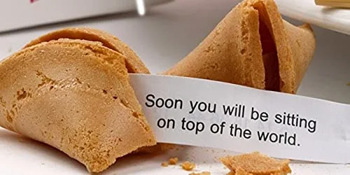 Shop and Save Individually Fresh crispy Wrapped Fortune Cookies Perfect for Snacks,Lunch,Picnic,Birthdays,Graduation,Parties (Citrus,60)