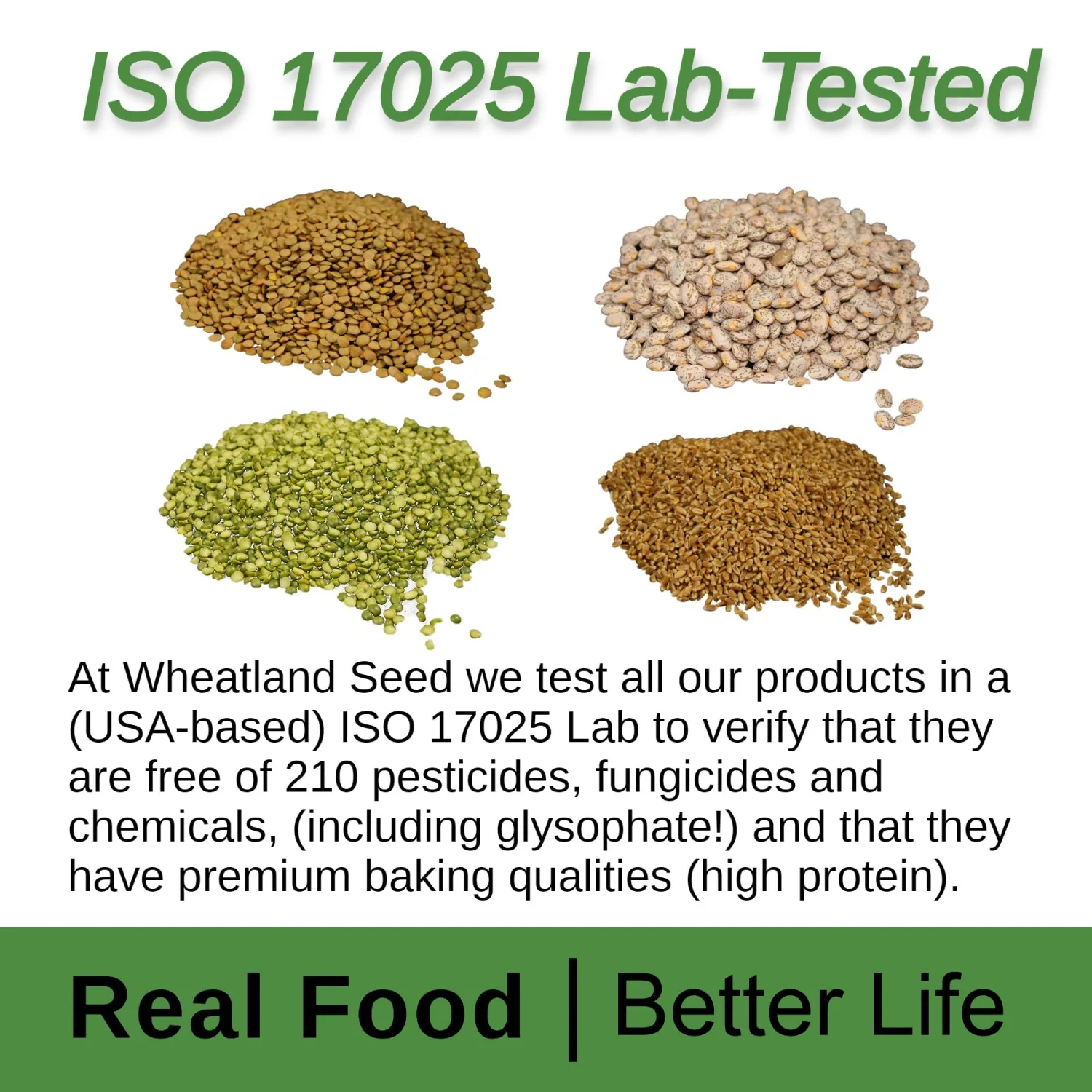 Wheatland™ White Beans • Premium Packaging • Mylar, Oxygen Absorber & Bucket Provide 25 Year Shelf Life • Lab-tested ISO 17025 Verified Chemical-Free • Never Irradiated, No Desiccants and Non GMO • High Trust Seller • Emergency Food Storage • 40 Year Legacy of Prepping