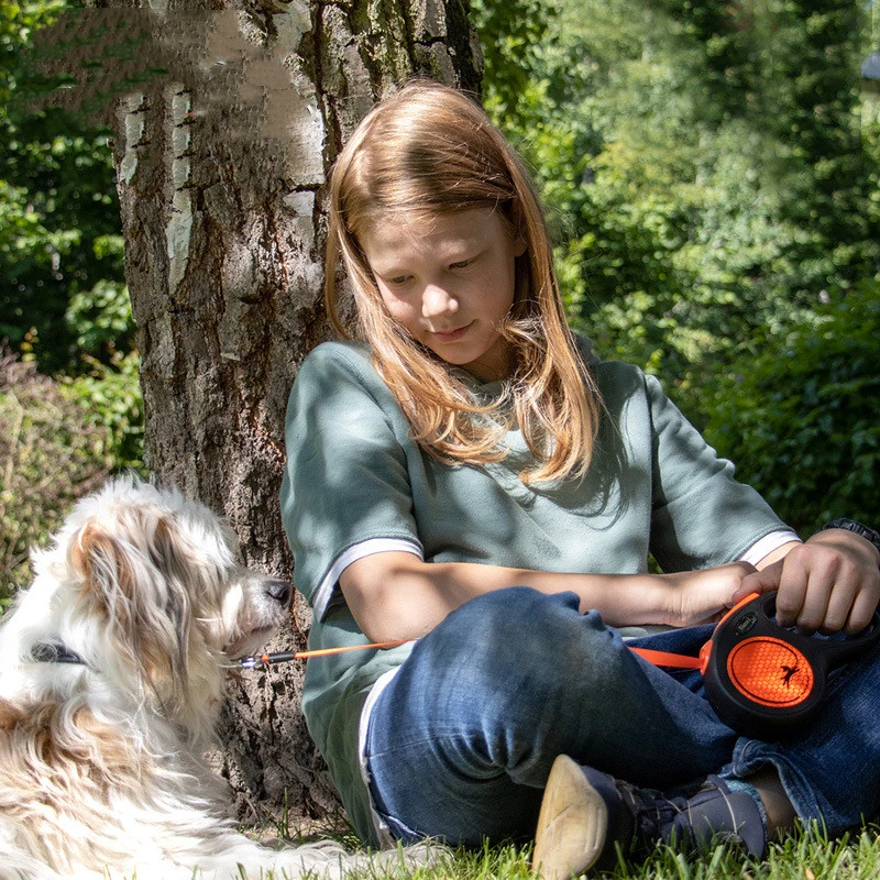 Orange Automatic Retractable Dog Walking Pet Leash