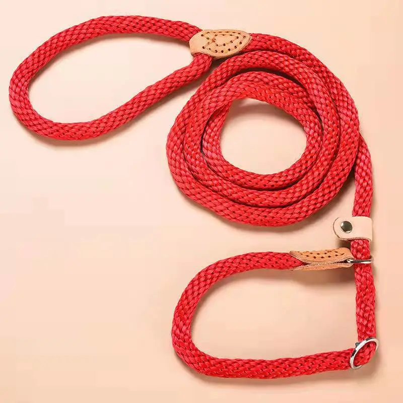 Traction Collar Integrated Training Dog Leash