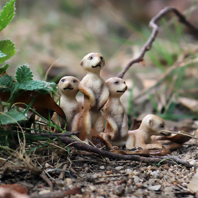 Children's Simulation Animal Model Toy With Little Fox, Standing Fox, Marsh, Beaver, Mongoose And Otter Nutria Ornaments