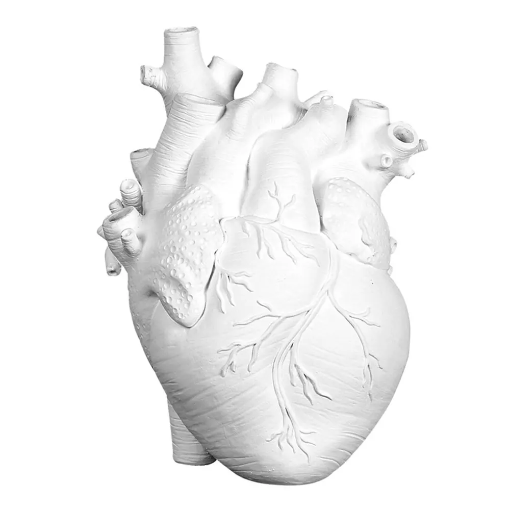 Heart Vase, Resin Vase Flower Pot - Anatomical Heart Shaped Desktop Decoration Ornament Craft for Farmhouse Living Room Bedroom Countertop (White,S)