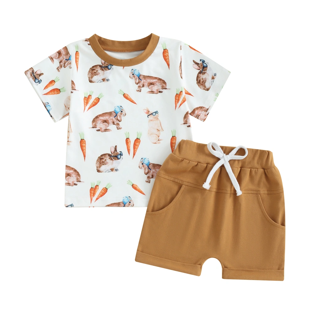 Boy Easter Outfit Bunny Carrot Print Short Sleeve T-Shirt Solid Shorts