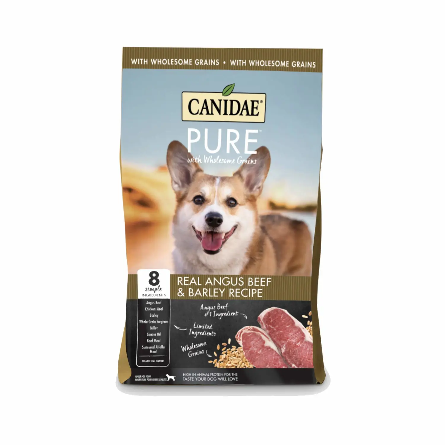 CANIDAE Pure Real Beef & Barley Recipe Adult Dry Dog 4 LB