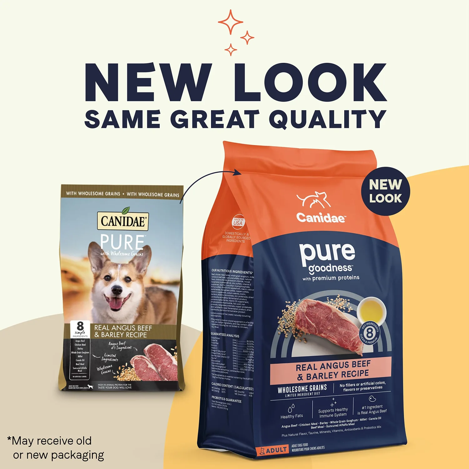CANIDAE Pure Real Beef & Barley Recipe Adult Dry Dog 4 LB