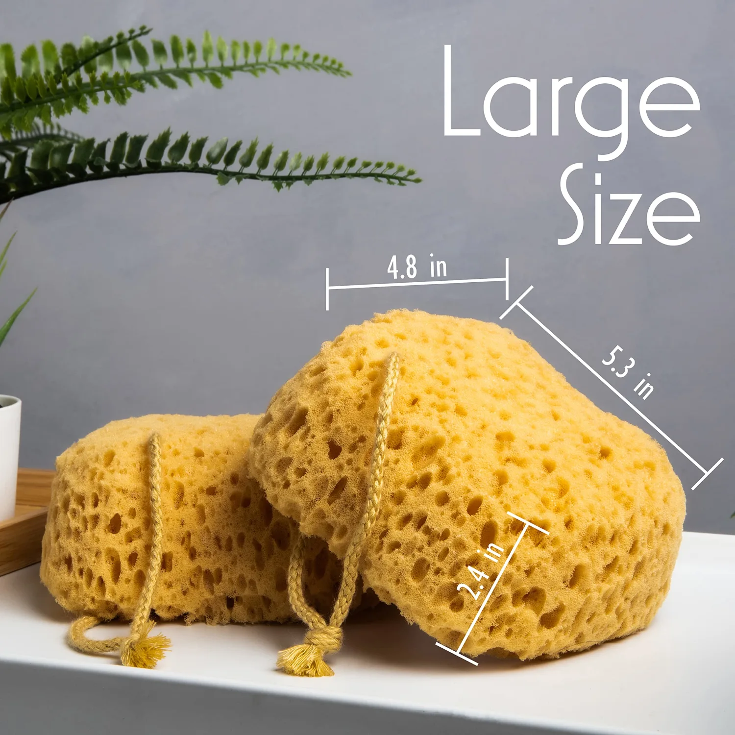 myHomeBody Premium Bath Sponge, Foam Loofah Sponge, Body Sponge for Shower – Large Size, Lots of Lather, Curvy, 2 Pack